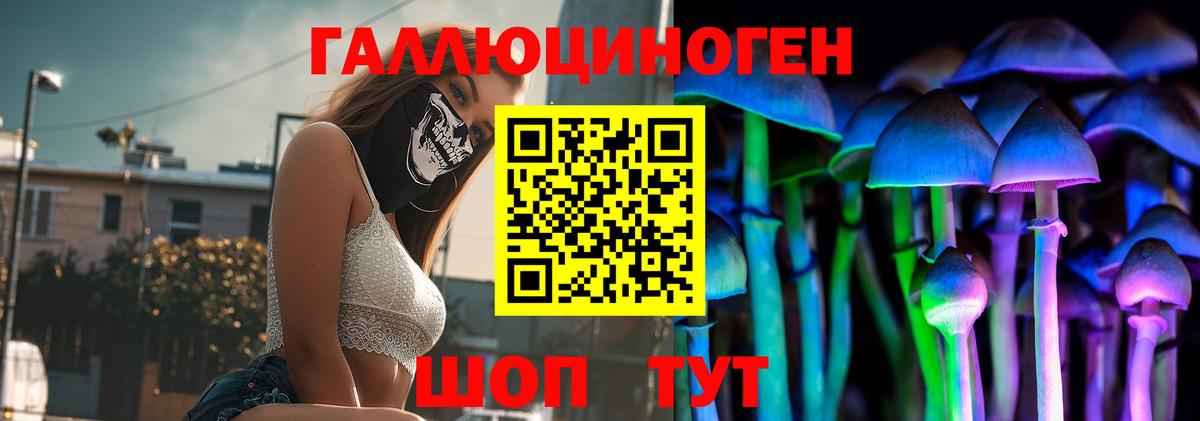 Псилоцибиновые грибы GOLDEN TEACHER  Вход с VPN  Карачаевск  Псилоцибиновые грибы Magic Shrooms 