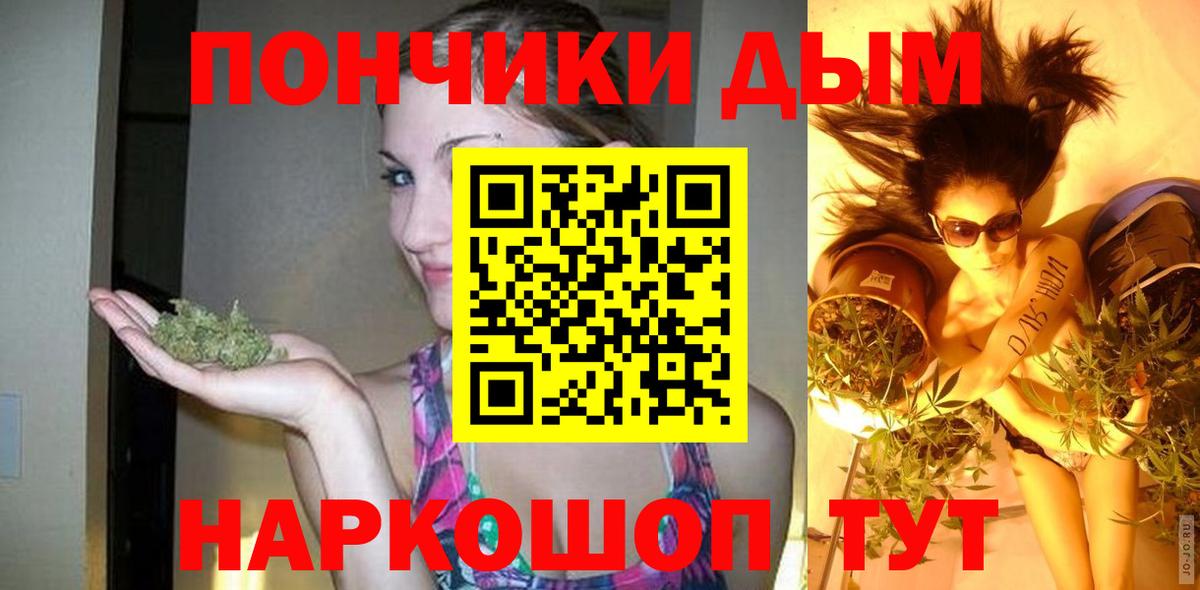 Шишки марихуана марихуана Карачаевск